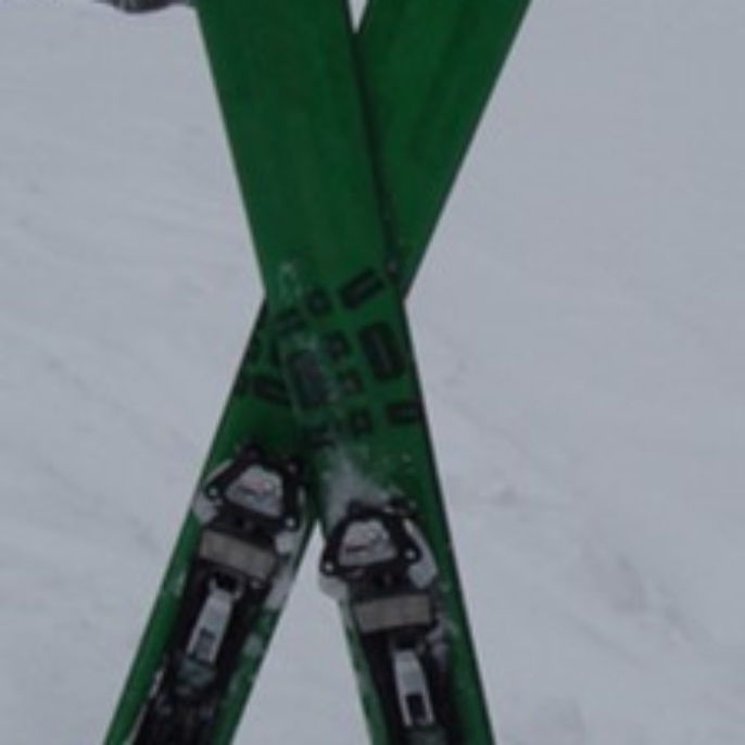 Ski1